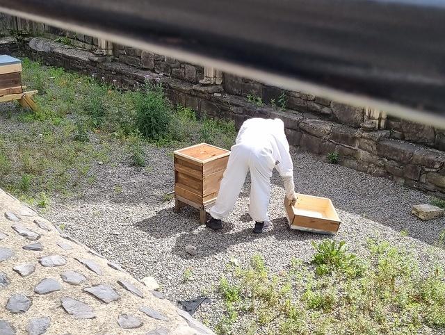 20220803 134853