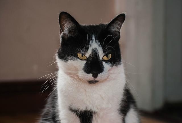 DSC0005