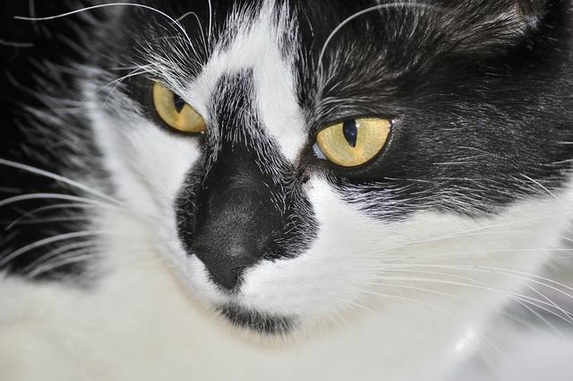  DSC3618