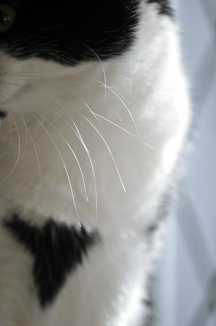  DSC3650