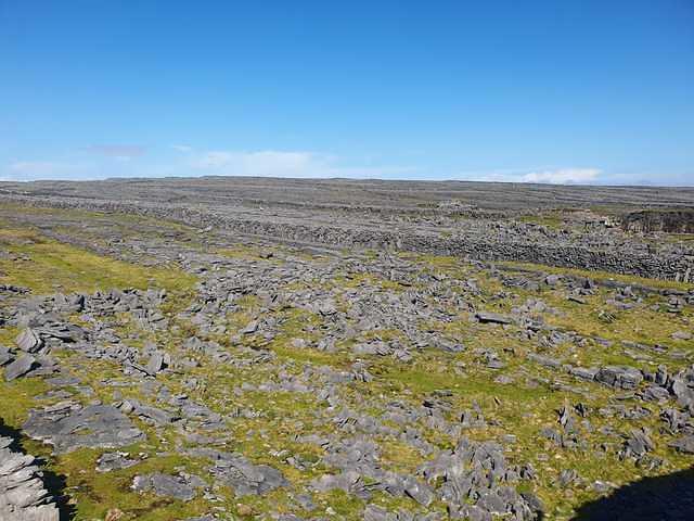 IMG-20230505-WA0002