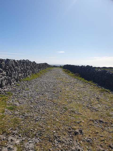 IMG-20230505-WA0016