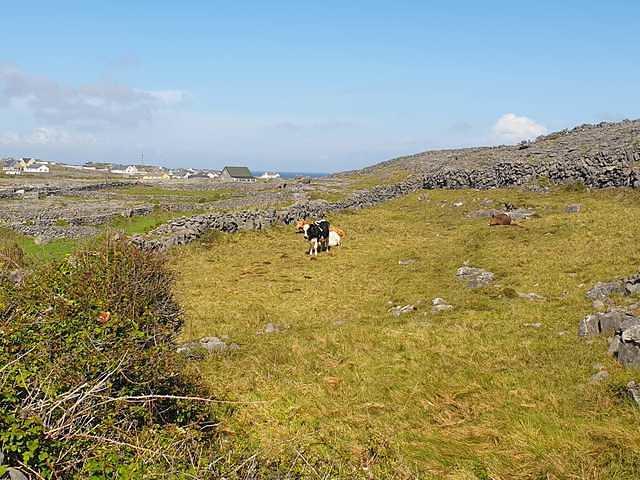 IMG-20230505-WA0034