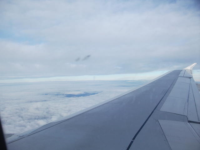 DSCF1584