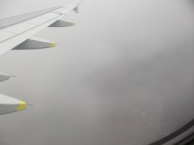 DSCF1614