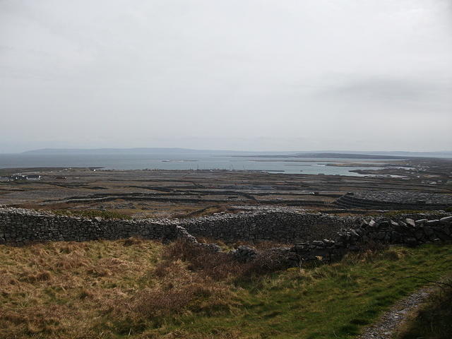 DSCF2543