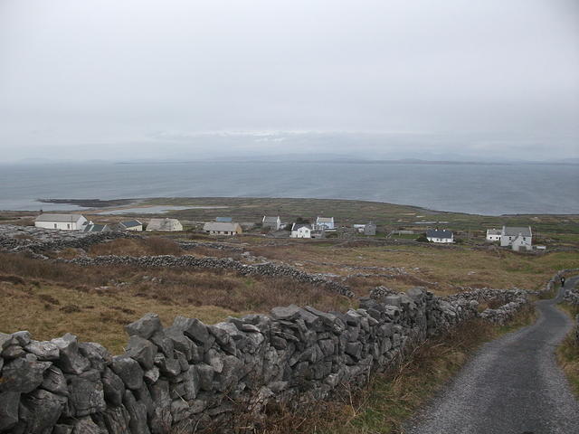 DSCF2575