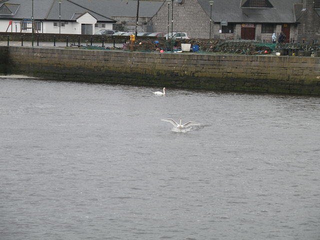 P4030007