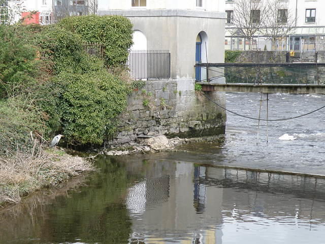 P4030069