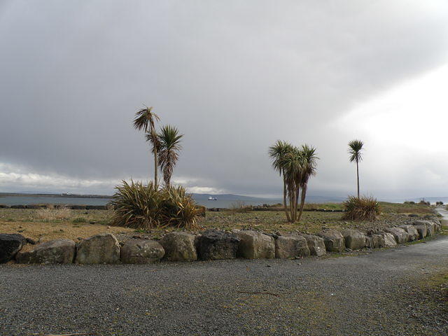 P4030164