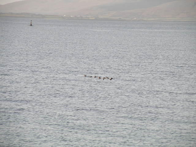 P4040277