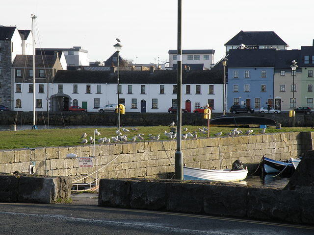 P4040289