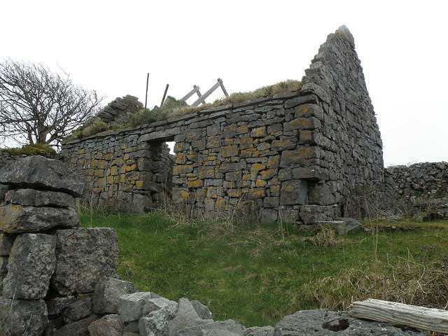 P4040397