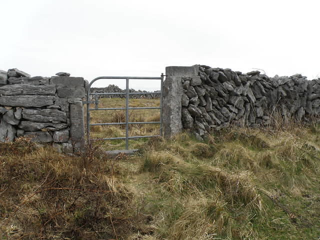 P4040497