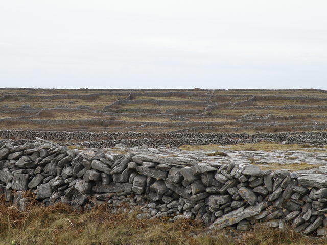P4040504