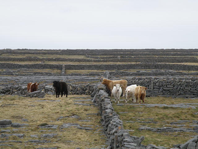 P4040558