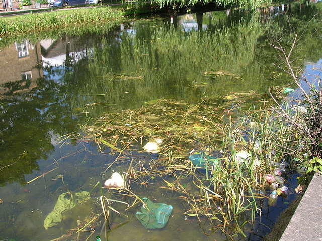 DSCN5109