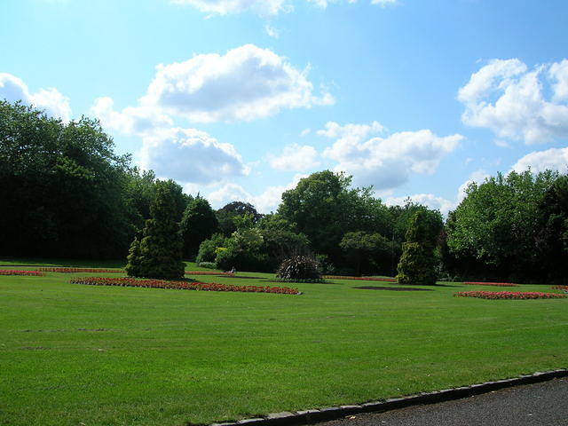 DSCN5112