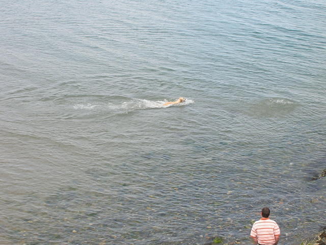 DSCN5119