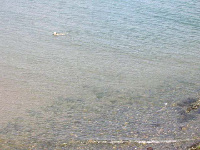 DSCN5121