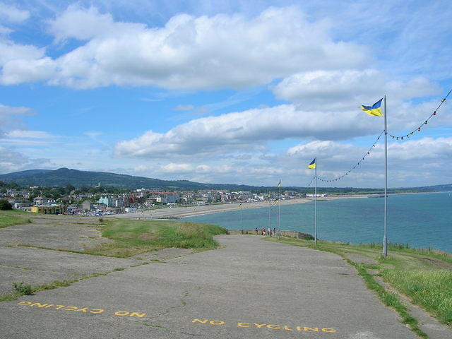 DSCN5124