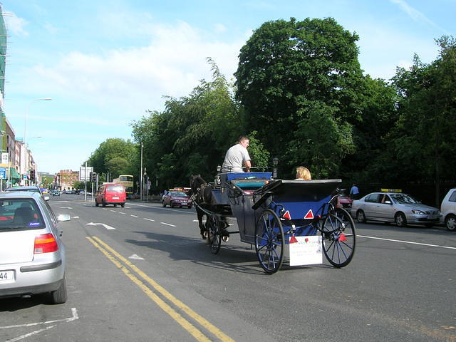 DSCN5180