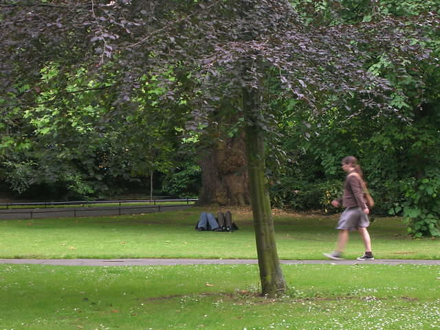 DSCN5226