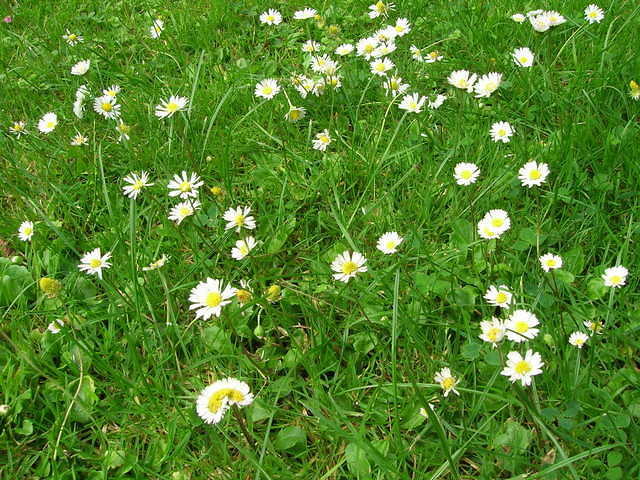 DSCN5248