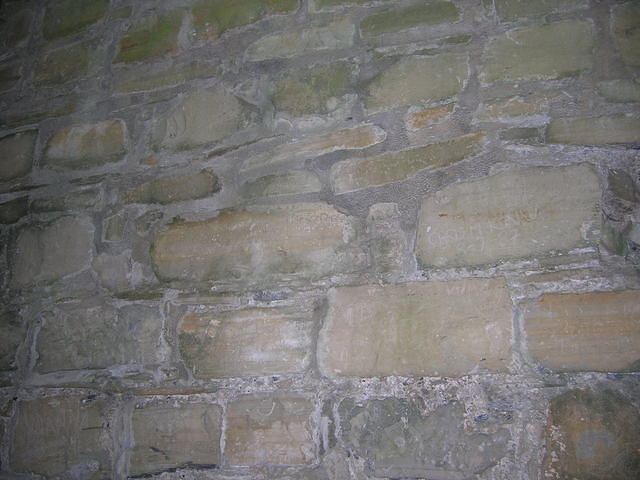 DSCN5292