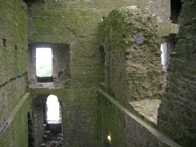 DSCN5295