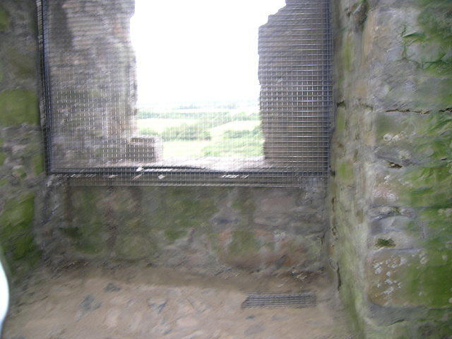 DSCN5296