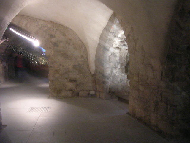 DSCN5331