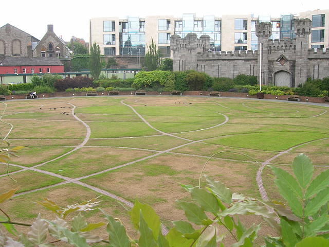 DSCN5345