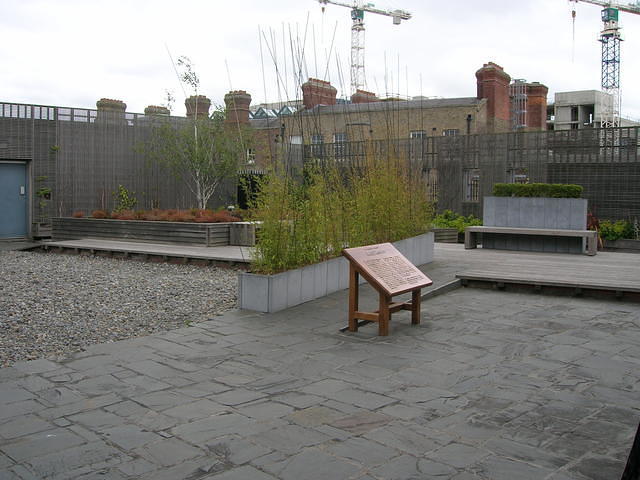 DSCN5347
