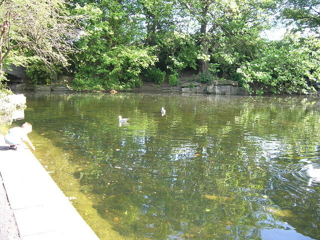 DSCN5388