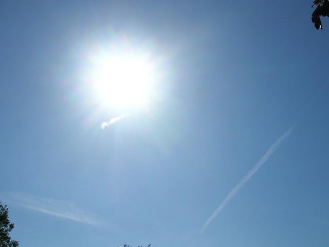 DSCN5393