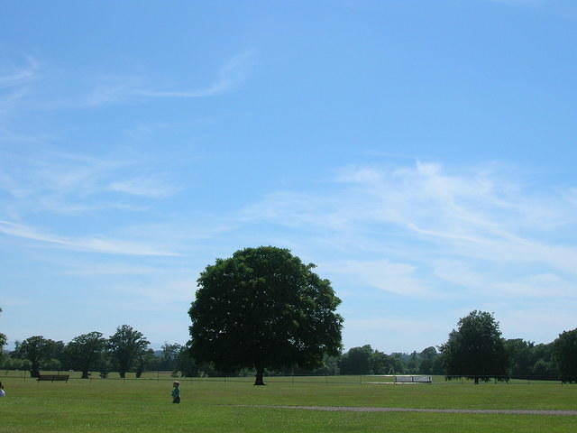 DSCN5407