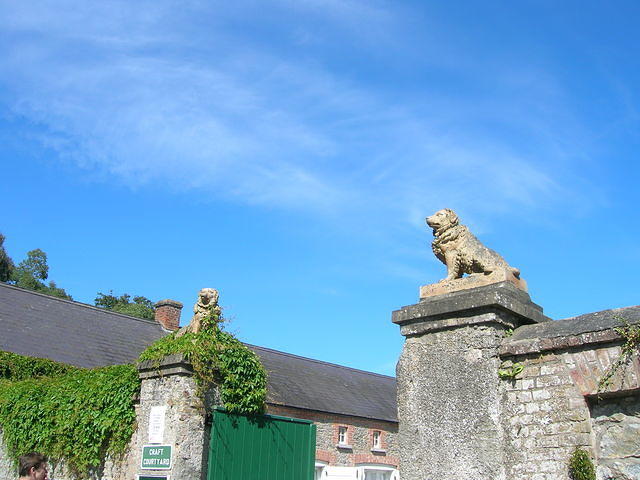 DSCN5411