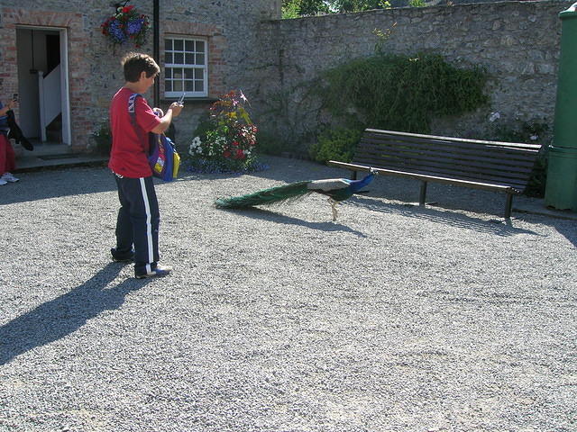 DSCN5414