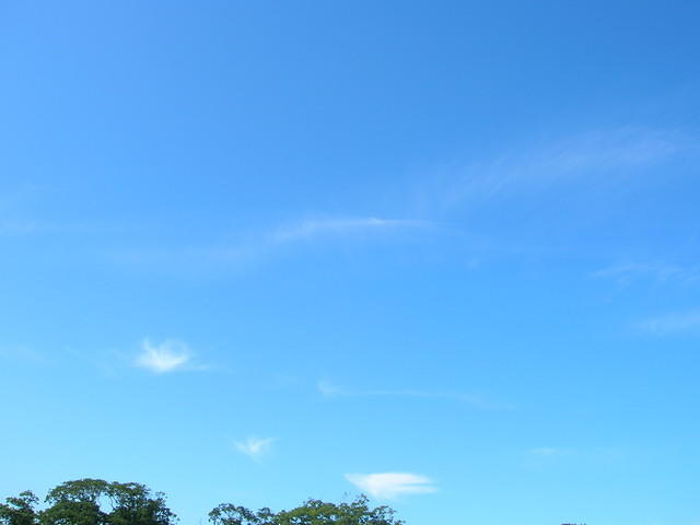 DSCN5434