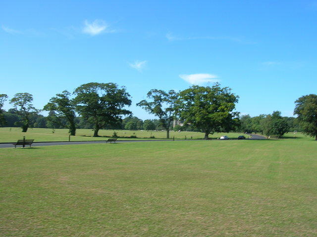 DSCN5436