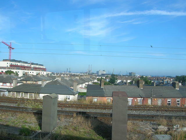 DSCN5458