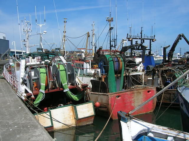 DSCN5464