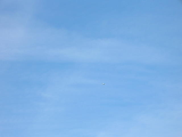 DSCN5471