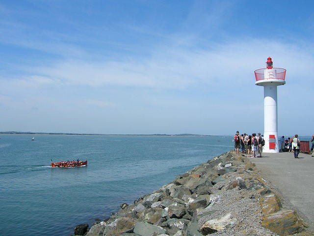 DSCN5473