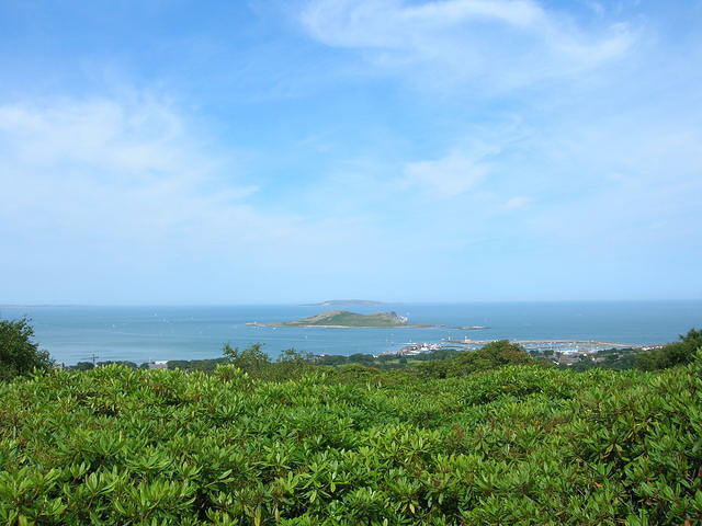 DSCN5491