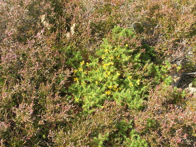 DSCN5500
