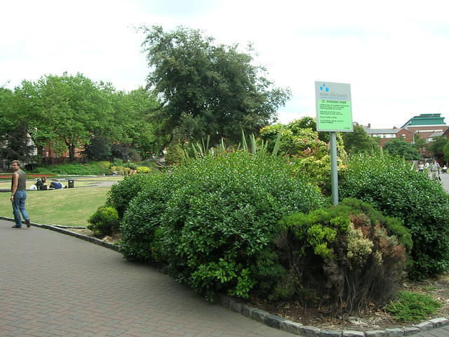 DSCN5613