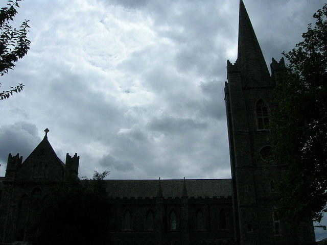 DSCN5614