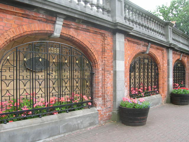 DSCN5622